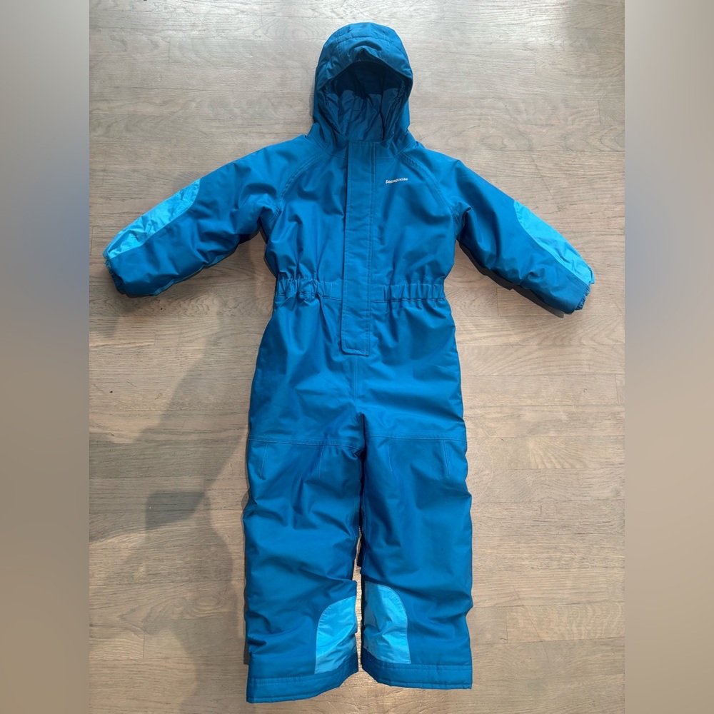Patagonia Vibrant Blue Hooded Jacket